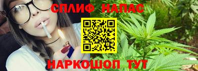 Альфа ПВП Севастополь