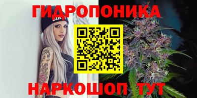 крисы Северобайкальск