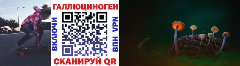 Галлюциногенные грибы MAGIC MUSHROOMS  купить наркоту  Торжок 