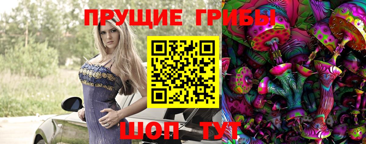 Галлюциногенные грибы прущие грибы  Вход с VPN  Торжок 
